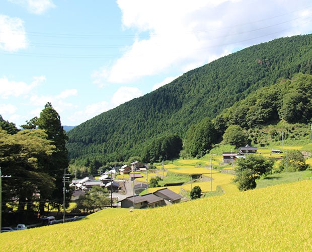 岩座神